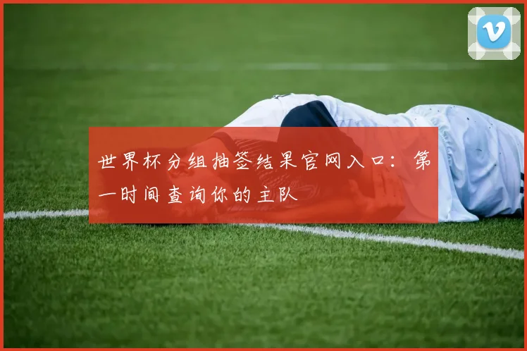 世界杯分组抽签结果官网入口：第一时间查询你的主队