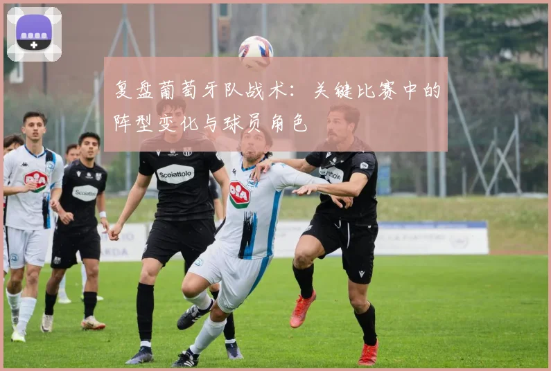 复盘葡萄牙队战术：关键比赛中的阵型变化与球员角色